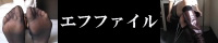 エフファイル